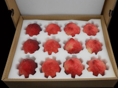 �P��ˮ���\ݔ���b����Ҫ������Щ��