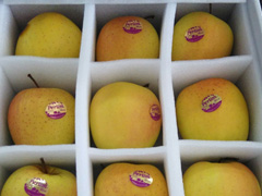 ������b���Ϟ�ʲôҪ�������ރ�(n��i)�Ѓ�(n��i)�r��