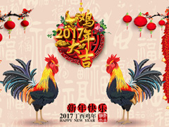 �Ϸ��������b�������޹�˾�c��һ��չ��2017