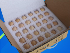 ���������@�ӵ��������u���вŝM���҂�������