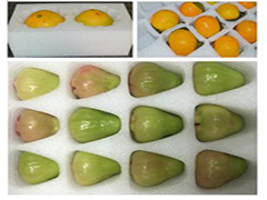 ��ʲô�Ϸ������ޱ��V�����ڼ����(n��i)������